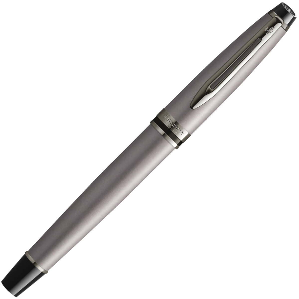 Ручка перьевая Waterman Expert DeLuxe, Metallic Silver RT (Перо F), фото 2